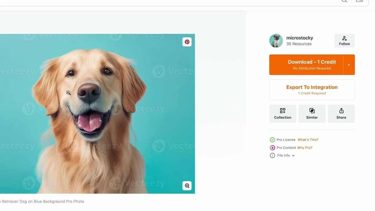 Vecteezy + Bynder Integration