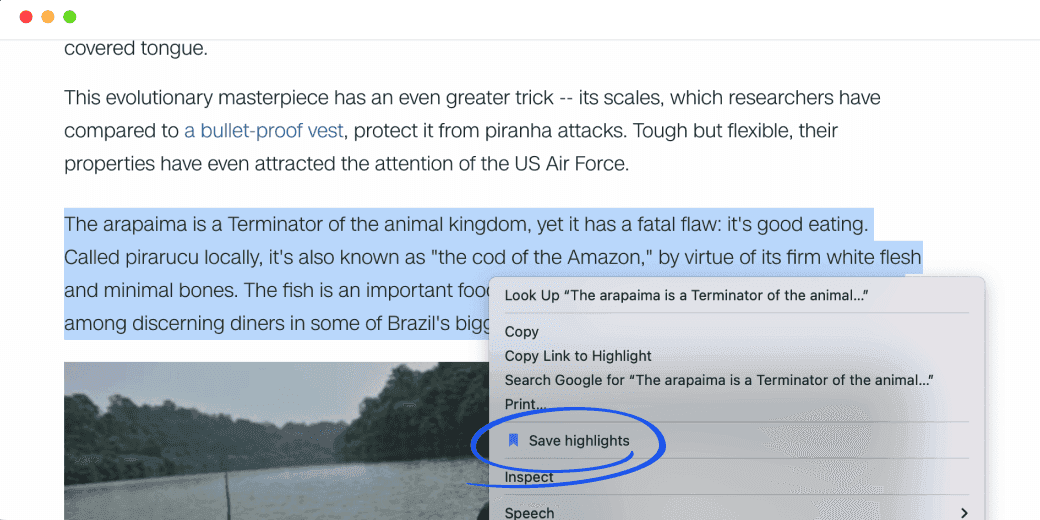 Article image