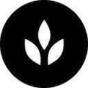 Curated Design