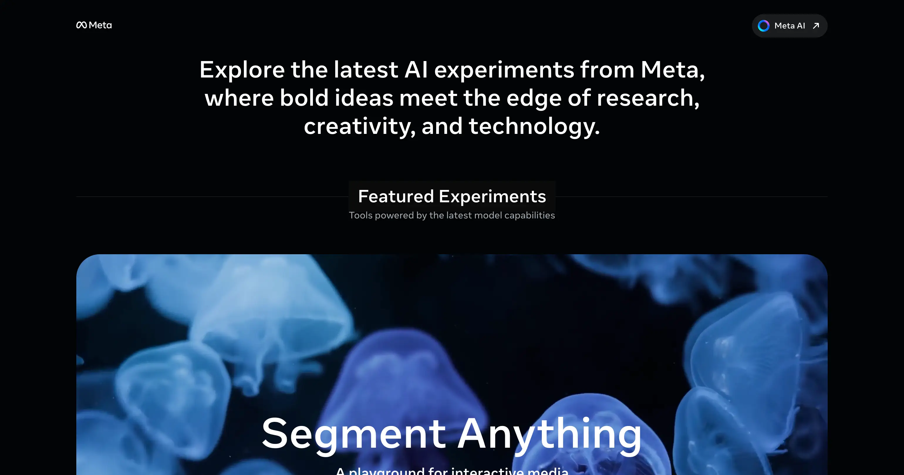 Meta AI Demos
